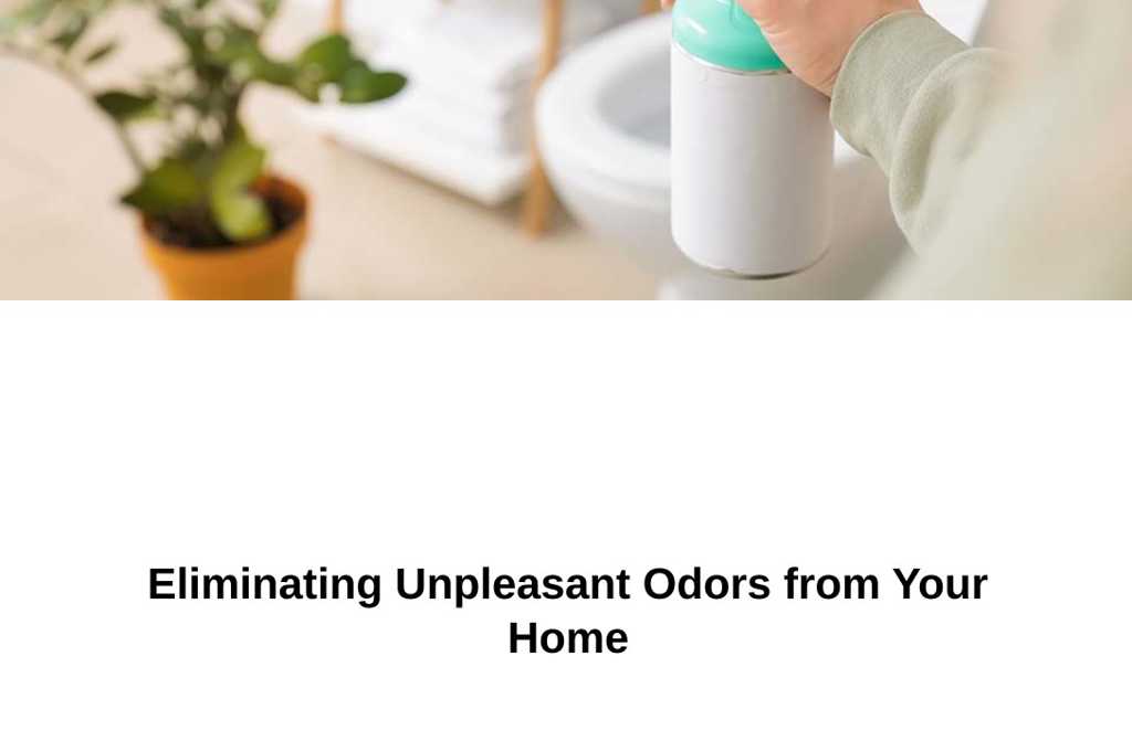 Eliminating Unpleasant Odors from Your Home