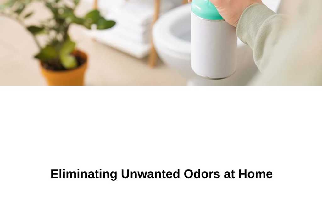 Eliminating Unwanted Odors at Home