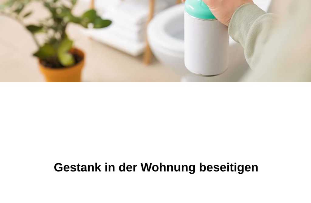 Gestank in der Wohnung beseitigen
