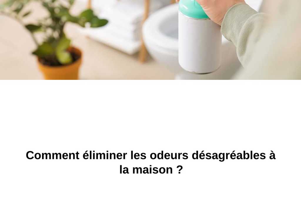 Comment éliminer les odeurs désagréables à la maison ?
