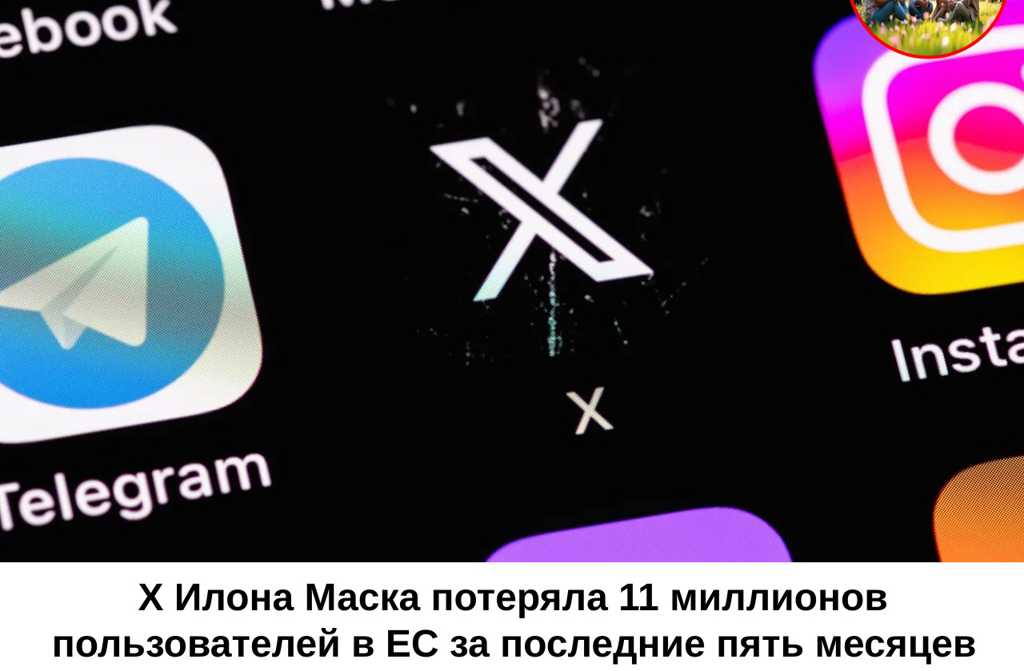 Илон Маск теряет 11 миллионов пользователей в ЕС за пять месяцев
