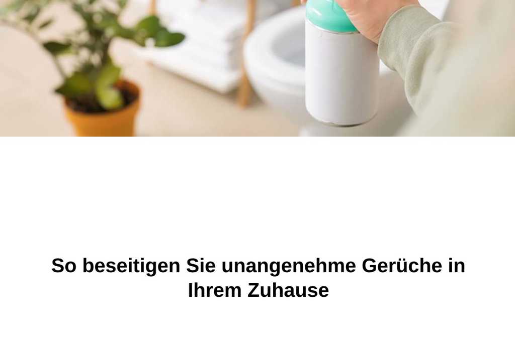 So beseitigen Sie unangenehme Gerüche in Ihrem Zuhause