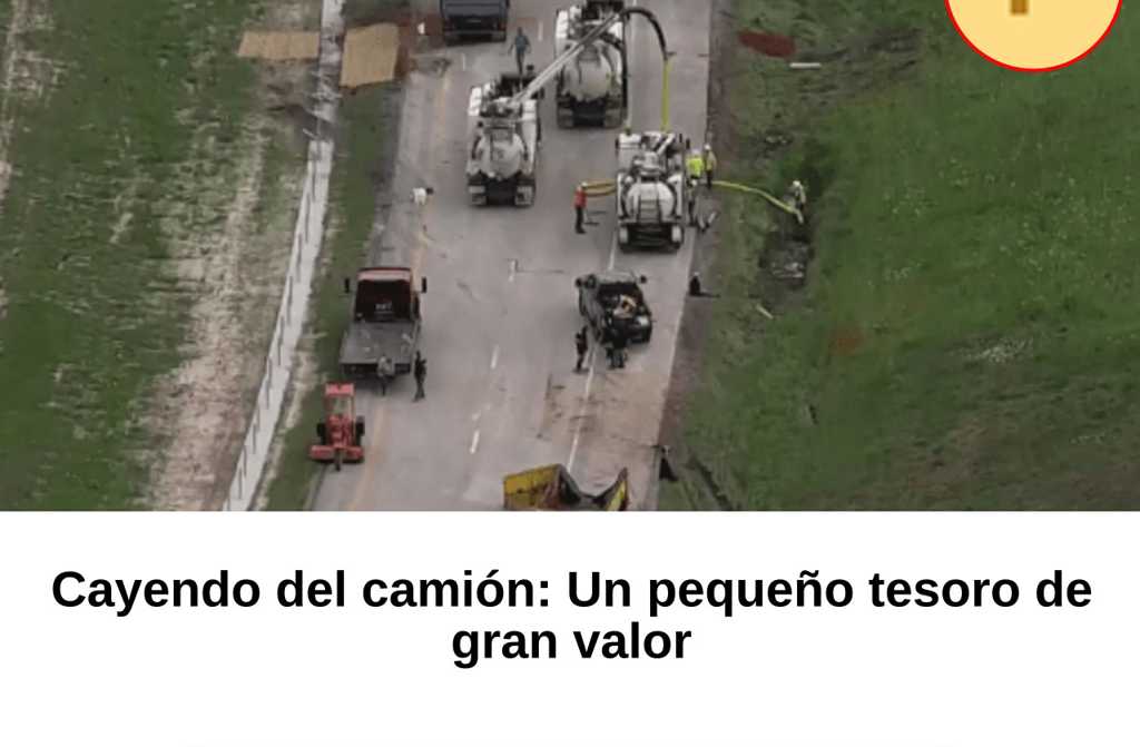 Cayendo del camión: Un pequeño tesoro de gran valor