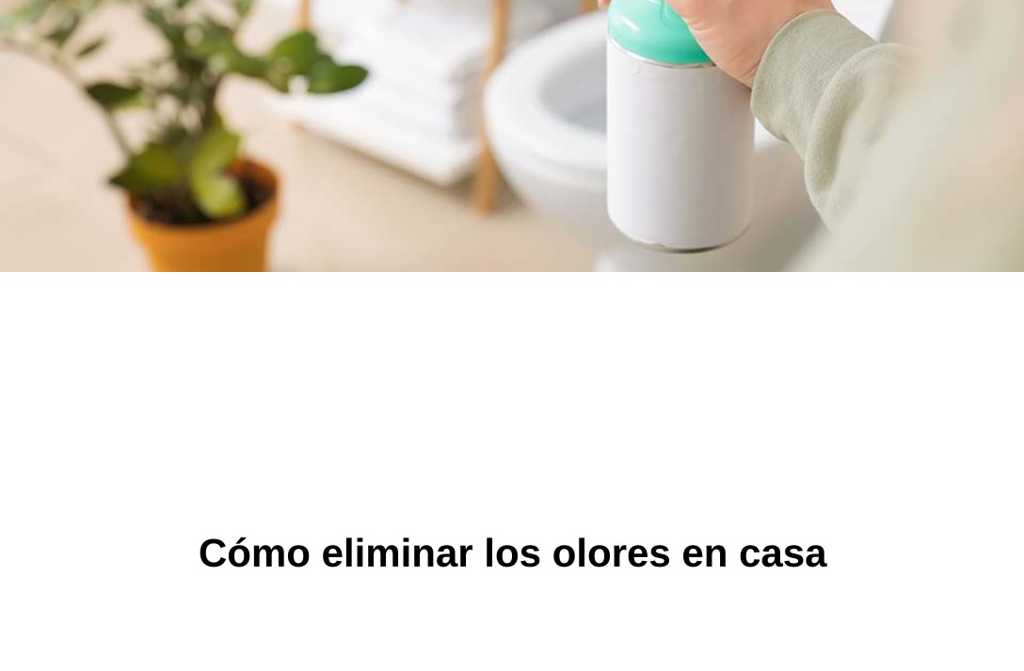 Cómo eliminar los olores en casa