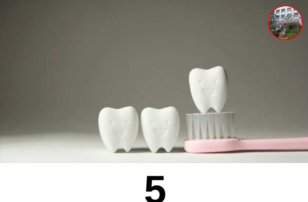 5 удивительных фактов о зубах