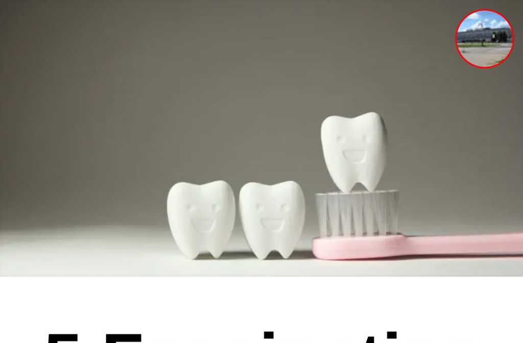5 Fascinating Facts About Teeth