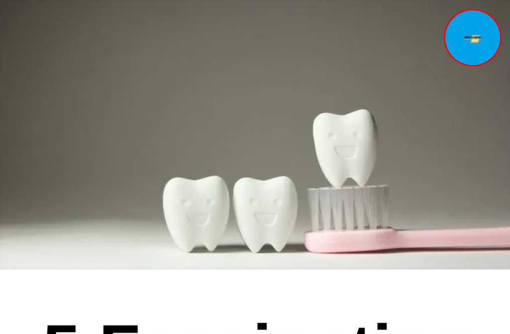 5 Fascinating Facts About Teeth